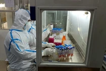 Hành trình tìm ra biến thể “con lai” Deltacron của nhà khoa học gốc Việt