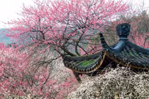 3 ngày sinh Âm lịch mang phước lành, trước vất vả sau viên mãn