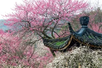 3 ngày sinh Âm lịch mang phước lành, trước vất vả sau viên mãn