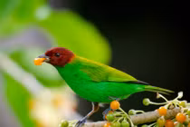 Sinh vào 3 tháng Âm này lòng tốt được hồi báo, làm gì cũng phát 