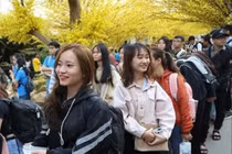 Đề xuất 2 phương án nghỉ Tết Nguyên đán Tân Sửu 2021