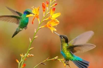 Ai sinh tháng Âm lịch này, đời thăng trầm, vinh hoa phú quý không tự đến