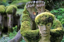 Khu rừng kỳ quái khiến ai vào cũng thót tim