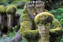 Khu rừng kỳ quái khiến ai vào cũng thót tim