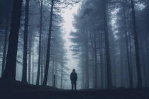 Tại sao chúng ta nghe thấy ai đó gọi tên mình khi vào rừng?