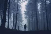 Tại sao chúng ta nghe thấy ai đó gọi tên mình khi vào rừng?