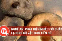Nghệ An: Phát hiện nhiều cối chày đá lạ nghi cổ vật thời tiền sử