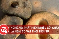 Nghệ An: Phát hiện nhiều cối chày đá lạ nghi cổ vật thời tiền sử