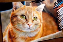 Năm 2025: 4 con giáp càng khiêm tốn càng giàu, đặc biệt số 2