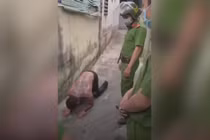 Video: Nghi ngáo đá, thanh niên xăm trổ quỳ lạy gọi cô gái hàng xóm là má