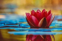 Bạn và người thân tốt đến đâu cũng đừng tiết lộ 5 điều này