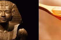 Vì sao người hầu của pharaoh Ai Cập thường bôi mật ong lên người?
