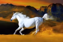 10 ngày giữa tháng 7/2022: Thiên thời địa lợi, 3 con giáp gặt hái vinh quang 