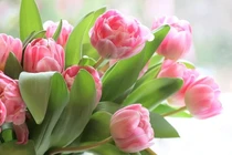 10 ngày cuối tháng 4/2022: 3 con giáp mở cửa đón lộc, mưa thuận gió hòa