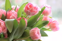 10 ngày cuối tháng 4/2022: 3 con giáp mở cửa đón lộc, mưa thuận gió hòa