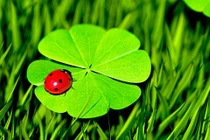 Ai sinh tháng Âm lịch này năng lực có thừa, tương lai hưởng phúc 