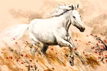 Tuần mới đón tin vui, 3 con giáp tiền vào túi không ngừng