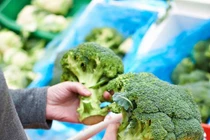 Cách chọn vua của các loại rau sao cho tươi ngon, giàu dinh dưỡng nhất