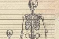 Những bộ xương người khổng lồ được phát hiện gây chấn động toàn cầu 