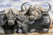 Tháng 6 lộc phát: 4 con giáp hết nghèo hết khổ, giàu có ú ụ