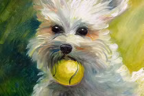 Thần Tài sủng ái ba tuổi kiếm nhiều tiền nhất từ tháng 7 âm lịch