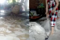 Video: Rùng mình cách chế biến thạch dừa siêu bẩn 