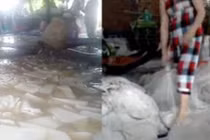 Video: Rùng mình cách chế biến thạch dừa siêu bẩn 