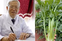 Loại rau rẻ bèo giúp hạ đường huyết vượt trội, chữa mỡ máu cao