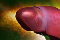 Có mẹo giải độc gan, ăn ngày 1 ít giải độc gan, bổ gan