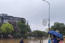 Một năm thiên tai khốc liệt, dị thường