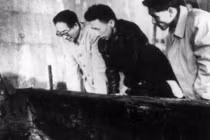 Mang gỗ mộ đế vương về làm tủ, cặp vợ chồng nhận kết đắng