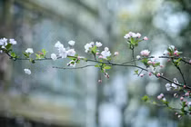 Người sinh vào 3 tháng Âm lịch này vất vả trước, hưởng phúc sau