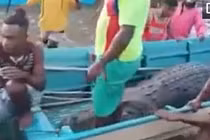 Người dân vây bắt, mổ bụng cá sấu, kinh hoàng với thứ tìm thấy