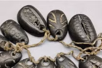 Vì sao vỏ sò là tiền tệ một thời của Trung Hoa cổ đại?