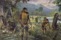 Loài người 'bị mất đuôi' như thế nào?