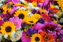 Sinh 6 ngày Âm này quý nhân phù trợ trên đường đi, không khó khăn gì