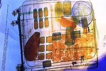 Bí mật gây sốc trong vali của hai phụ nữ buôn lậu động vật hoang dã