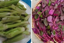 3 loại rau 'giúp sống lâu' mọc đầy ở Việt Nam nhưng ít người biết