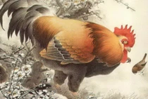 Tử vi cuối tuần (22-23/2): 3 con giáp giàu bất thình lình