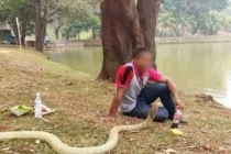 Chàng trai kết hôn với rắn hổ mang sau khi bạn gái qua đời