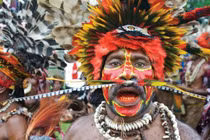 10 bộ tộc nào có nguy cơ tuyệt chủng nhất thế giới?