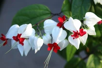 Hết xui xẻo, 3 chòm sao đón vận may trời cho từ tháng 2 âm