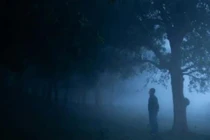 Bí ẩn hiện tượng “Quỷ Đả Tường”: Khoa học nói gì?