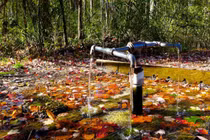 Giai thoại dòng suối “thần” ở Mỹ giúp con người cải tử hoàn sinh