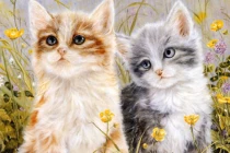 Bước qua 1/2 âm, 3 con giáp tài lộc vô biên, nửa đầu 2022 đại phát 