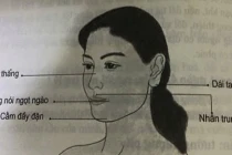 5 kiểu phúc tướng phụ nữ báo hiệu ăn sung mặc sướng cả đời 