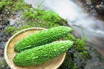 5 loại thực phẩm có vị đắng nhưng rất tốt cho sức khỏe