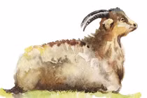 3 con giáp vận mệnh đổi gió xoay chiều, rung đùi đếm tiền 20 ngày tới