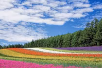 Số cuối cùng trong ngày sinh Âm lịch nói gì về cuộc sống của bạn?