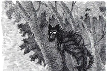 Kỳ bí quỷ hầu - sinh vật huyền bí gây náo loạn rừng núi 